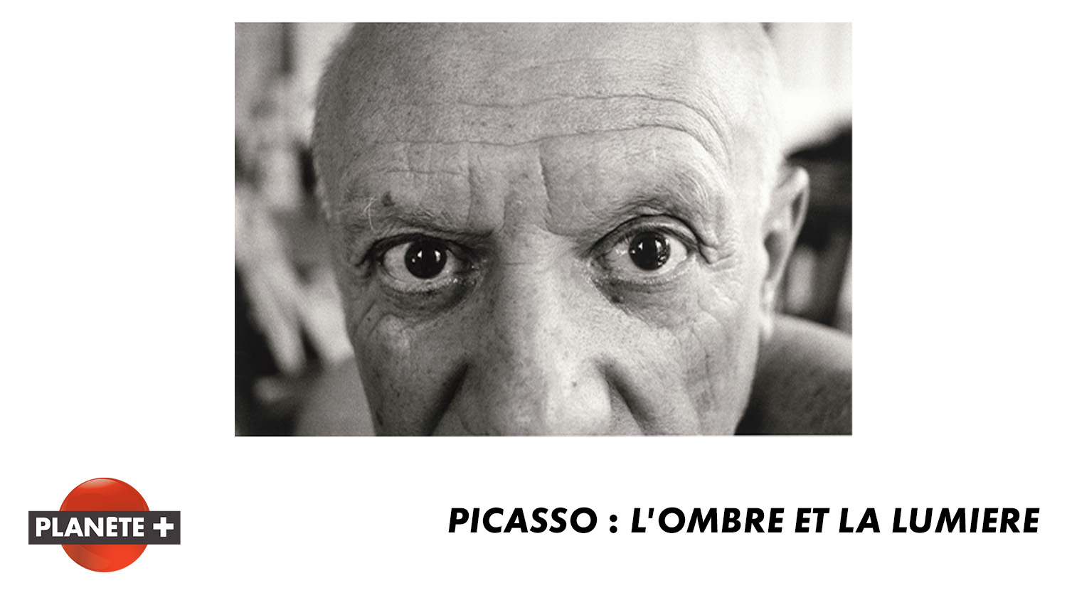 PICASSO : L'OMBRE ET LA LUMIÈRE